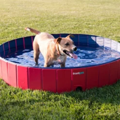 Frontpet Folding Dog Pool With Drain Plug PET SUPPLIES