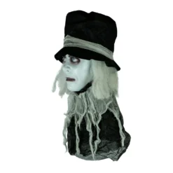 Holidayana Animatronic Spinning Severed Head - Sound And Touch Activated Halloween Decoration Lighted Eyes Patio & Outdoors 10 Holidayana Animatronic Spinning Severed Head - Sound And Touch Activated Halloween Decoration Lighted Eyes Patio & Outdoors