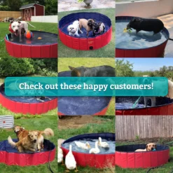 Frontpet Folding Dog Pool With Drain Plug PET SUPPLIES