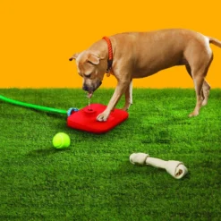 Frontpet PET SUPPLIES Pawcet Outdoor Dog Water Fountain With Hose Attachments