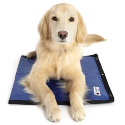 Frontpet Modular Cooling Pet Mat With Three Layers Of Insulation & FlexiFreeze Ice Sheet