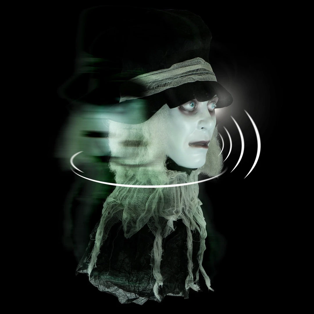 Holidayana Animatronic Spinning Severed Head - Sound And Touch Activated Halloween Decoration Lighted Eyes Patio & Outdoors 3 Holidayana Animatronic Spinning Severed Head - Sound And Touch Activated Halloween Decoration Lighted Eyes Patio & Outdoors