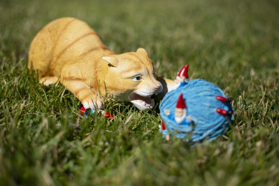 Marketfleet Inc Store -Marketfleet Inc Store 9 HD FIG